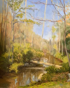 Creek Behind Dr. Doyles’ 16" x 20" Oil on canvas board (plein air)