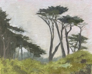 Lands End Pines 8" x 10" Oil on panel (plein air)