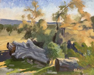 Stump Shaded by Ghost Tree 8" x 10" Oil on panel (plein air)