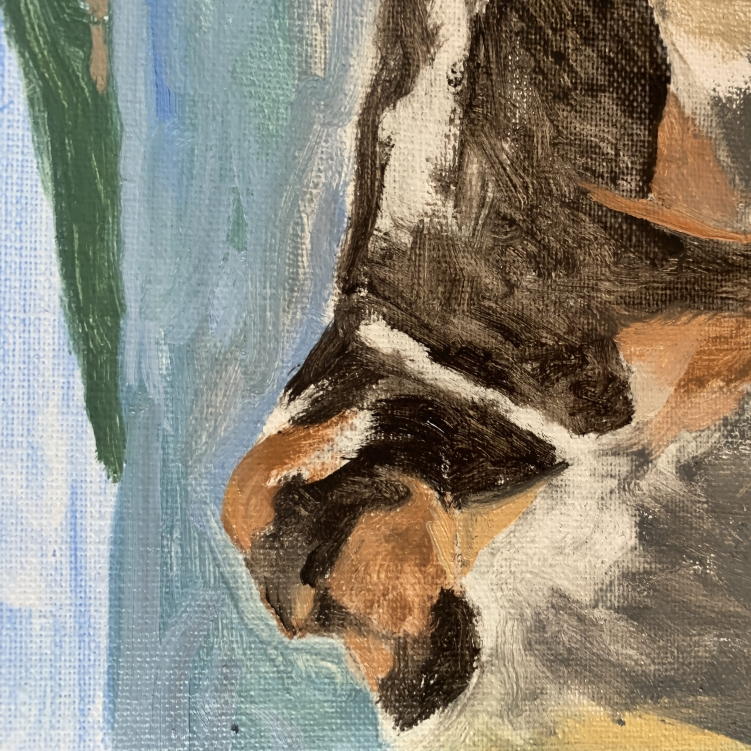 dog