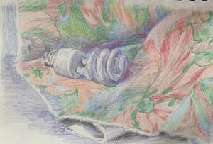LIGHTBULB 5.5" x 8/5" Colored pencils and graphite on paper