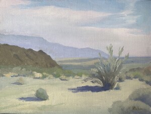 View from Glorietta Canyon over Borrego Valley towards Salton Sea; green Ocotillo cactus in mid-foreground